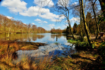 Картинка west yorkshire природа реки озера деревья река