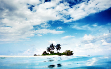 Картинка природа тропики остров пальмы море облака