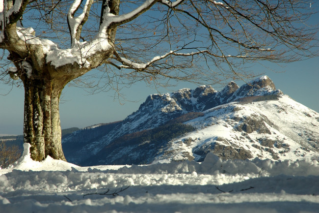 Обои картинки фото aiako, harria, basque, country, spain, природа, деревья, снег, дерево, испания, зима