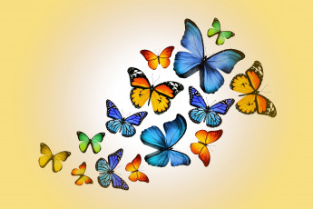 обоя рисованные, животные,  бабочки, marika, design, butterflies, colorful, yellow, бабочки
