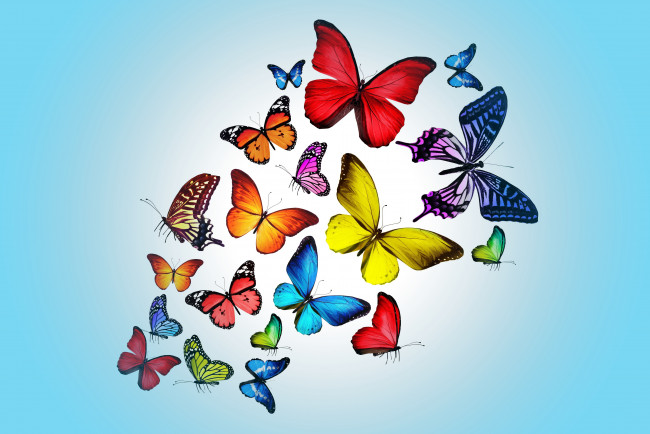 Обои картинки фото рисованные, животные,  бабочки, pink, бабочки, blue, colorful, marika, design, butterflies