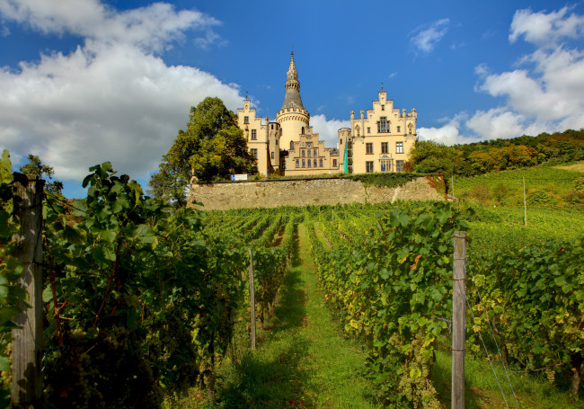 Обои картинки фото германия замок arenfels, города, - дворцы,  замки,  крепости, германия, arenfels, замок, виноградники