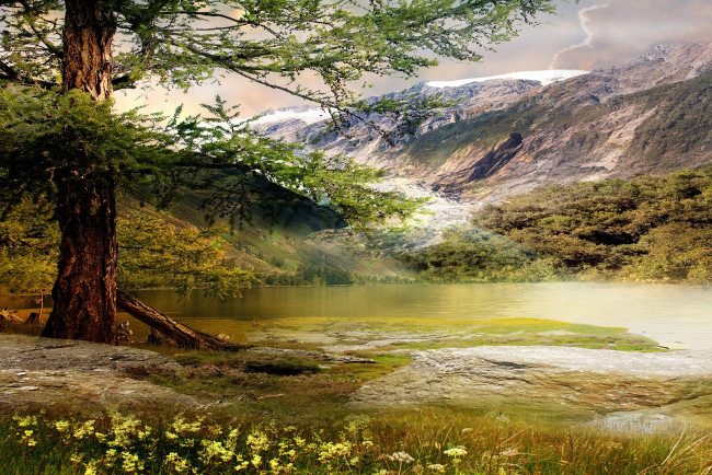 Обои картинки фото природа, реки, озера, дерево, горы, озеро, пейзаж, цветы