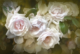 Картинка рисованное цветы розы лепестки куст