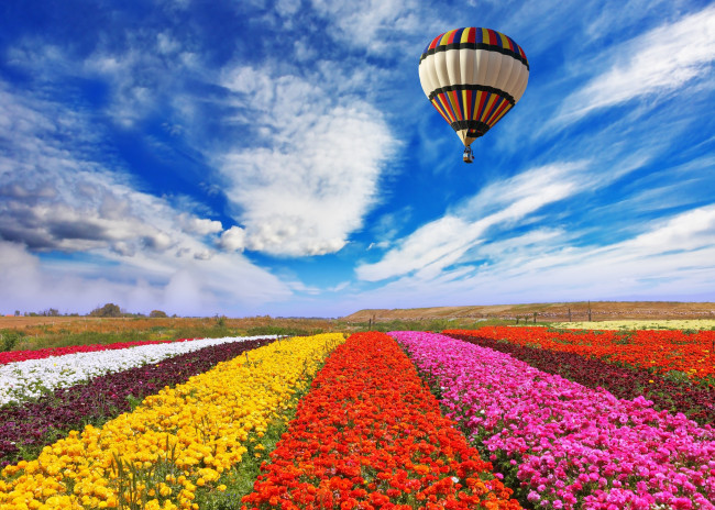 Обои картинки фото авиация, воздушные шары, природа, воздушный, шар, поле, цветы, небо, облака