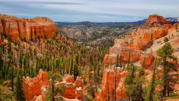 обоя bryce canyon, utah, природа, горы, bryce, canyon