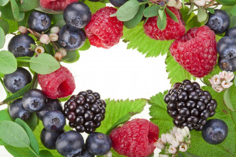 Картинка еда фрукты ягоды ежевика малина черника листья цветы
