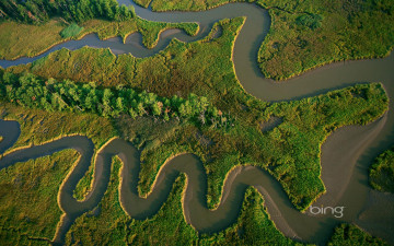 Картинка природа реки озера лес река русло