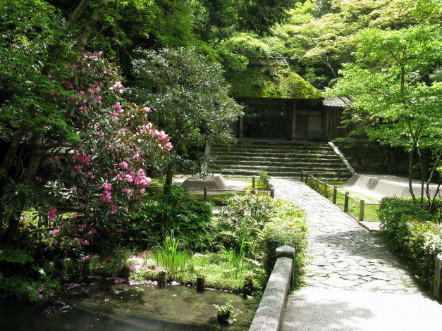 Обои картинки фото сад, honen, kyoto, природа, парк, , япония