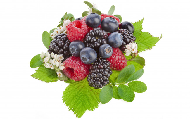 Обои картинки фото еда, фрукты, ягоды, малина, ежевика, черника