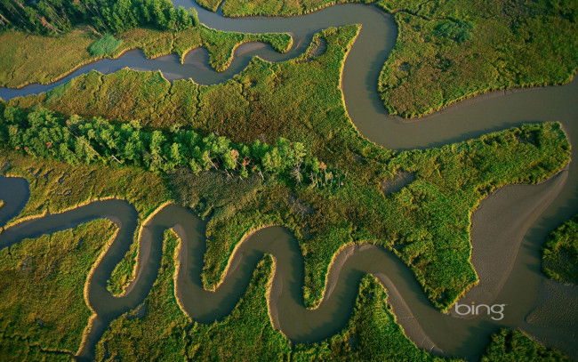 Обои картинки фото природа, реки, озера, лес, река, русло