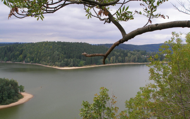 Обои картинки фото природа, реки, озера, река, остров, деревья