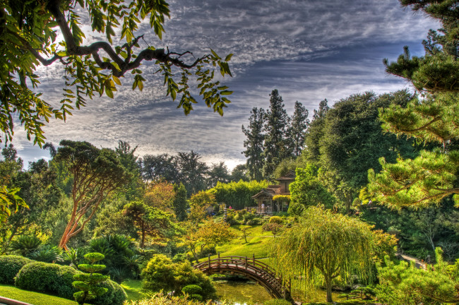 Обои картинки фото san, marino, california, usa, japanese, garden, природа, парк, мостик, растения, небо