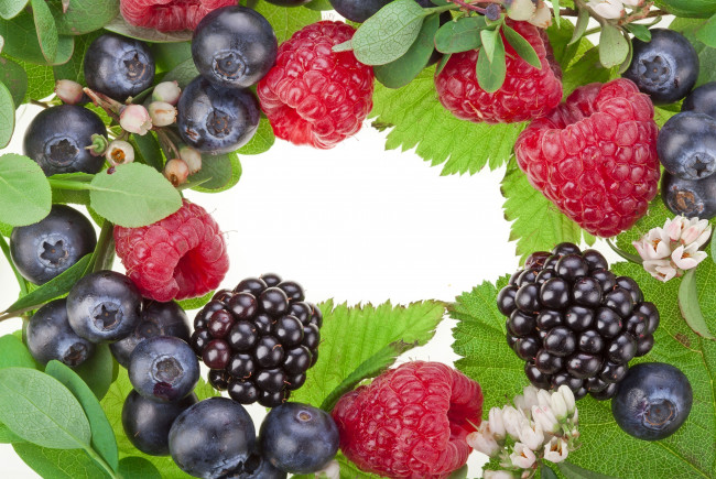 Обои картинки фото еда, фрукты, ягоды, ежевика, малина, черника, листья, цветы