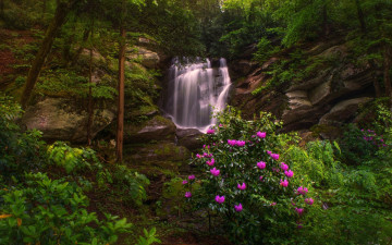 Картинка природа водопады seven falls etowah north carolina этова северная каролина водопад скалы лес деревья рододендроны