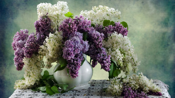 Картинка цветы сирень ваза лиловый белый