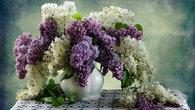 Обои картинки фото цветы, сирень, ваза, лиловый, белый