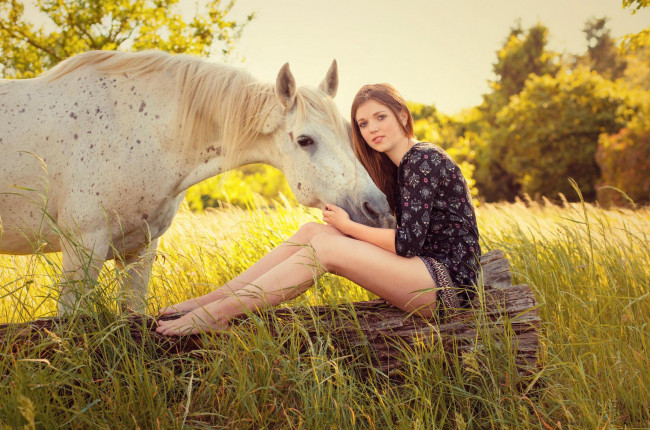 Обои картинки фото девушки, -unsort , рыжеволосые и другие, лошадь, бревно, трава, рыжая