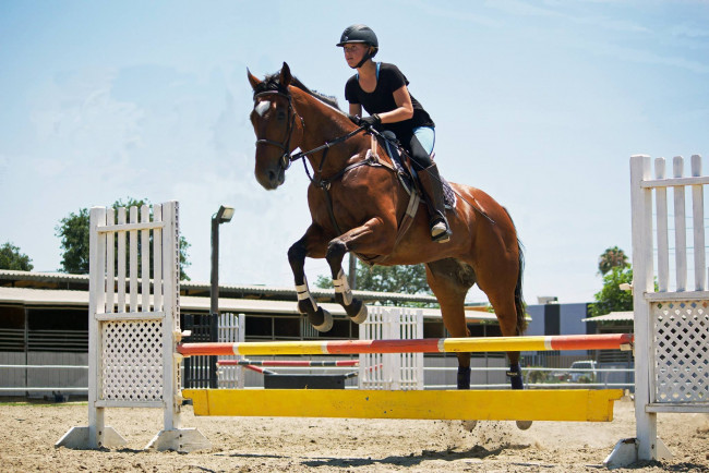 Обои картинки фото спорт, конный спорт, прыжок, лошадь
