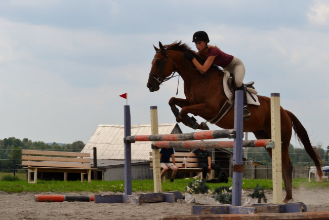 Обои картинки фото спорт, конный спорт, прыжок, лошадь