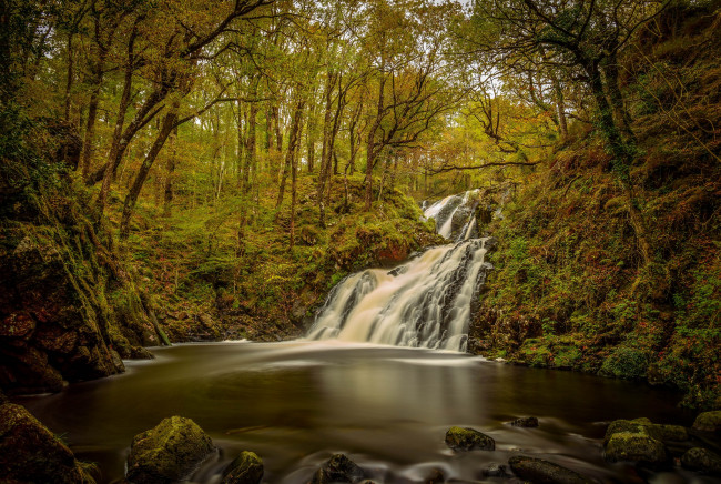 Обои картинки фото природа, водопады, водопад, деревья, вода, лес