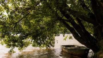 Картинка корабли лодки +шлюпки река лодка дерево