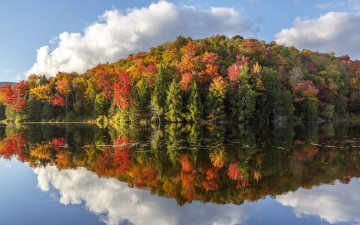 обоя природа, реки, озера, река, отражение, деревья, осень