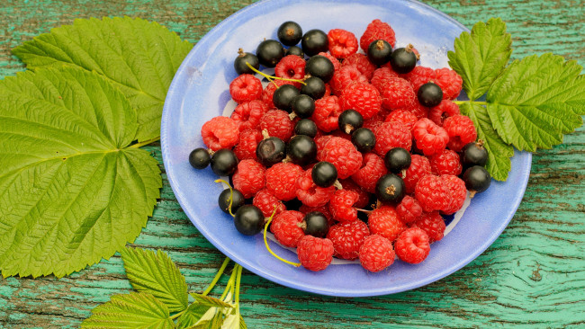 Обои картинки фото еда, фрукты,  ягоды, ягоды, малина, черная, смородина