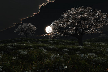Картинка sleepless night 3д графика nature landscape природа луна деревья ночь облака