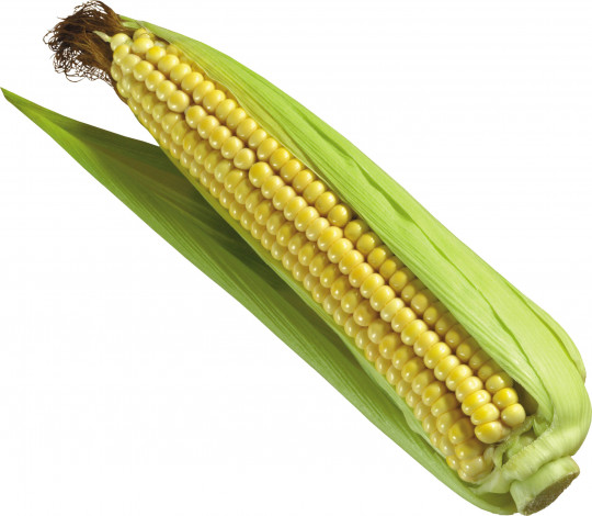Обои картинки фото еда, кукуруза