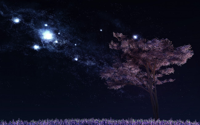 Обои картинки фото 3д, графика, atmosphere, mood, атмосфера, настроения, небо, дерево, цветы, звездное