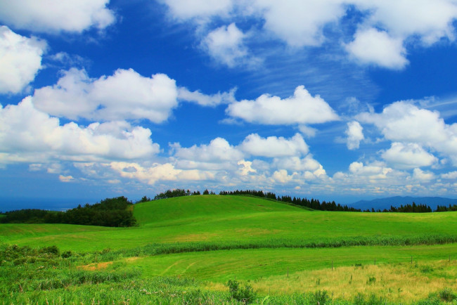 Обои картинки фото природа, поля, облака, поле