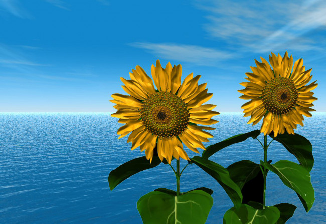 Обои картинки фото 3д, графика, flowers, цветы, подсолнухи