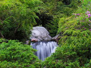 Картинка midland michigan природа водопады валун мидленд мичиган лес кусты камни