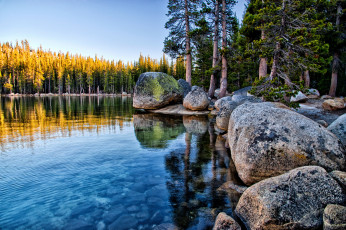 Картинка tenaya lake yosemite national park california природа реки озера озеро теная камни валуны лес йосемити калифорния