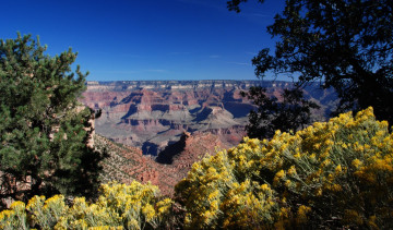 Картинка природа горы цветы деревья плато каньоны панорама облака