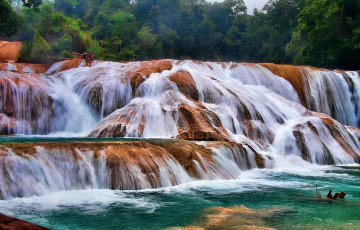 Картинка cascadas de agua azul chiapas природа водопады река лес пороги водопад