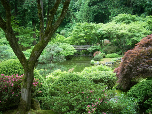 Обои картинки фото portland, japanese, garden, орегон, сша, природа, парк, водоем, мостик, растения