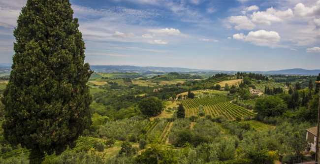 Обои картинки фото san, gimignano, tuscany, italy, природа, поля, сан-джиминьяно, тоскана, италия, пейзаж, панорама, деревья