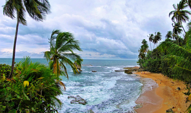 Обои картинки фото природа, тропики, океан, пляж, волны, ветер, пальмы, горизонт