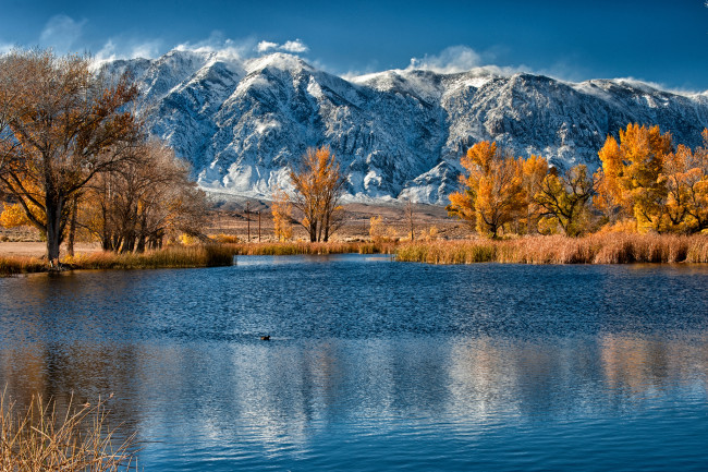 Обои картинки фото природа, реки, озера, озеро, горы, деревья, осень, камыш