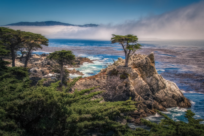 Обои картинки фото pebble, beach, california, природа, побережье, the, lone, cypress, carmel, bay, пеббл, бич, калифорния, одинокий, кипарис, скала