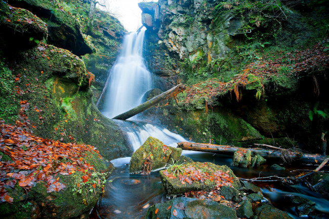 Обои картинки фото природа, водопады, шотландия, камни, листья, брёвна