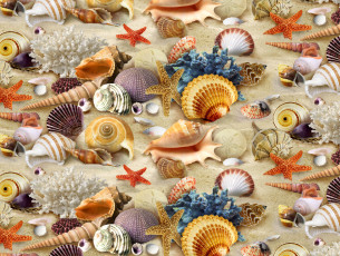 Картинка разное ракушки +кораллы +декоративные+и+spa-камни кораллы морские звёзды