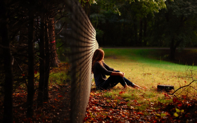 Обои картинки фото девушки, -unsort , рыжеволосые и другие, забор, рыжая, пень, лес, листья, деревья, осень