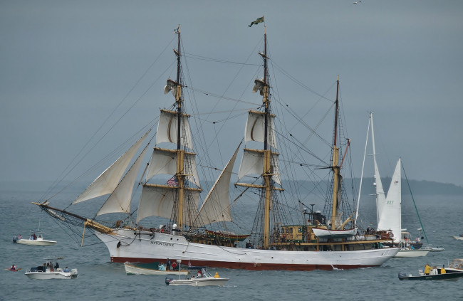 Обои картинки фото picton castle, корабли, парусники, паруса, мачты