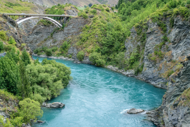 Обои картинки фото новая зеландия, природа, реки, озера, водоем, деревья, мост