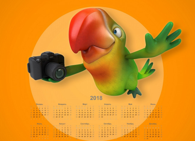 Обои картинки фото календари, рисованные,  векторная графика, фотоаппарат, попугай