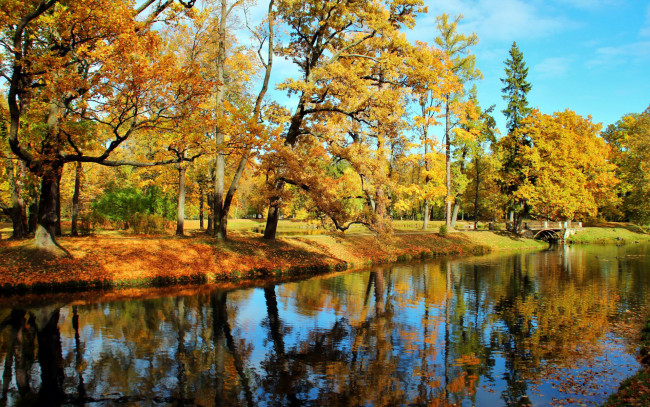 Обои картинки фото природа, парк, осень, листопад