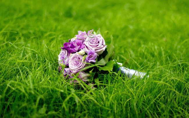 Обои картинки фото цветы, букеты,  композиции, трава, букет, свадебный, кольца